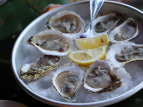 Outlaw Oyster Bay View