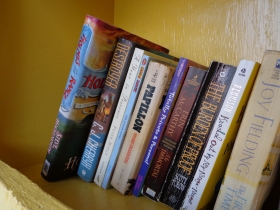 Books inside Little Free Library #2516.