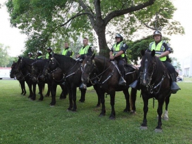 Milwaukee Police Horses