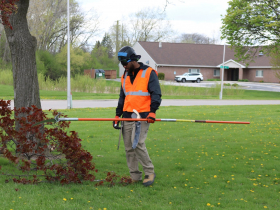 Arborist Certified Pre-Apprenticeship