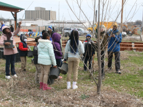 Arbor Day Education Station