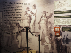 America's Black Holocaust Museum