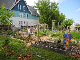 Community garden at All Peoples Church