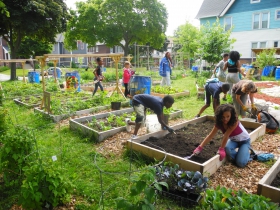 Community garden at All Peoples Church