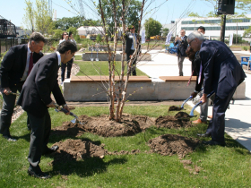 Rod Schrader, Hiroyuki Ogawa, Governor Tony Evers and Cavalier Johnson Plant A Tree