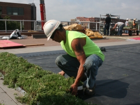 Green roof installation