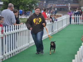 Fromm Petfest 2015