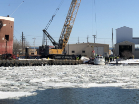 Harbor Seagull Recovery