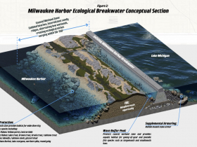 Ecological Breakwater Conceptual Rendering