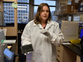 Demonstrating Tray for Digital PCR Testing