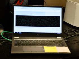 Digital PCR Results