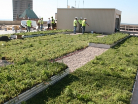 Green Roof Installation at 770 North