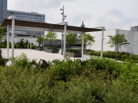 Green Roof at Northwestern Mutual North Building 