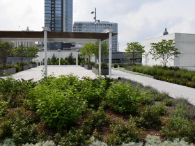 Green Roof at Northwestern Mutual North Building 