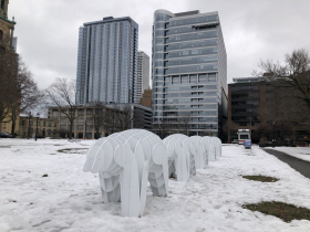 Massimals at Cathedral Square Park