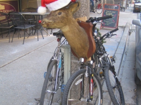 Mounted deer cycle parked outside the Swingin’ Door Exchange, 225 E. Michigan St. Photo by Michael Horne.