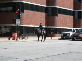 Police Officer on horseback.