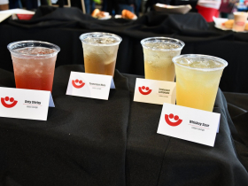 2025 Summerfest Preview Party