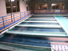 Filter Beds at Linnwood Water Treatment Plant