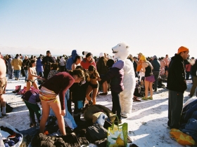 2013 Polar Bear Plunge