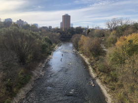 Fly Fishing on the Milwaukee River