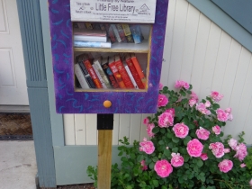 Little Free Library at 1146 E. Kane Pl.