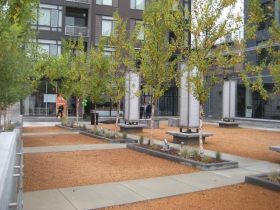 The groundbreaking for phase III of the North End was held in Denim Park.