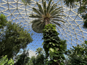 Mitchell Park Conservatory (The Domes) Tropic Dome