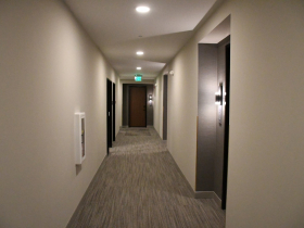 The Fitz Hallway