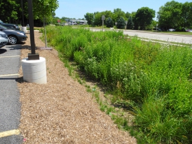 Sloping down to rain garden at Outpost Natural Foods