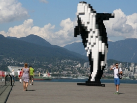 Digital Orca and the Vancouver Harbor