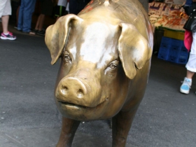 Rachel the Pig