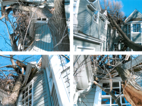 In 2006 a tree fell on the home causing significant damage.