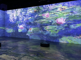 Beyond Monet Water Lillies