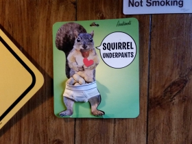 Squirrel underpants