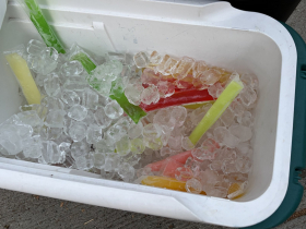 Best Bites of Riverwest 24