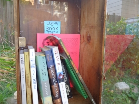 Books inside a Riverwest Little Free Library