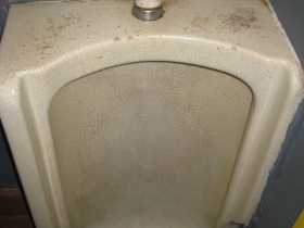 Another in our series of aged Milwaukee tavern urinals. 