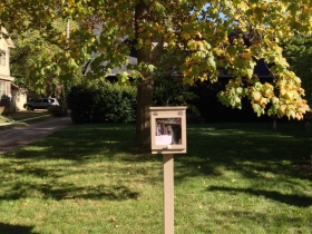 You can grab a book while waiting for the #10 at this Little Free Library.