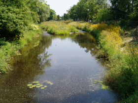 About 20 river miles from Lake Michigan, a fishway was installed around the Mequon-Thiensville Dam in 2010 and upgraded in 2021-’22. An underwater camera is installed in the fishway culvert along with two PIT tag antennas.