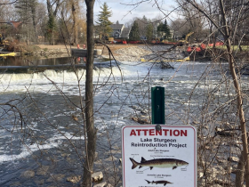 Eleven river miles from Lake Michigan, a fishway was built around the Kletzsch Dam in 2023. PIT tag antennas track the movements of tagged fish, including lake sturgeon, a species being reintroduced to the Milwaukee River.