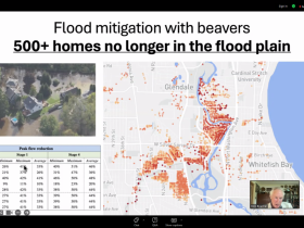 Screen capture of Bob Boucher's slides from the 2024 Midwest Beaver Summit: Flood mitigation with beavers: 500+ homes no longer in the flood plain