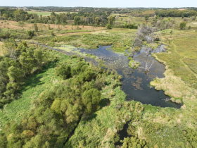 The beaver pond upstream of the dam on the East Branch of the Racoon River