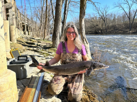 Cheryl Masterson, WDNR fisheries supervisor with the Lake Michigan-South team, holds an adult lake sturgeon captured during a dip net survey in the Milwaukee River