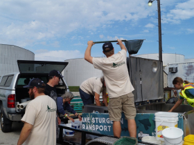 WDNR and Riveredge dole out sturgeon in nets at Harbor Fest / Sturgeon Fest 2023