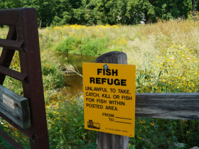 Angling is prohibited in the fishway itself but allowed in the river