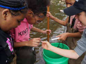 Carly Hintz with Milwaukee County Parks Wehr Nature Center identified a distinctive “water penny” beetle larvae the students uncovered in the river