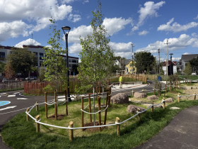 Cass Street Playground