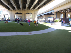 Downtown Dog Park