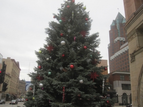The City Christmas Tree